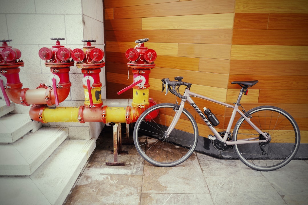 A bike parked next to a fire hydrant
