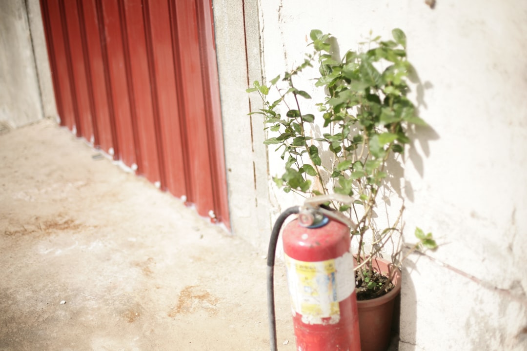 Red fire extinguisher next to a potted plant.